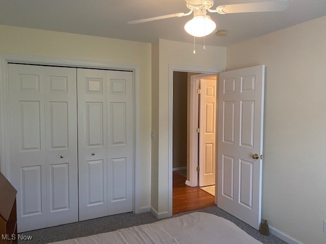 603 South Raccoon Road, Unit 30 Youngstown, OH 44515 - Photo 17 of 36 Large closet