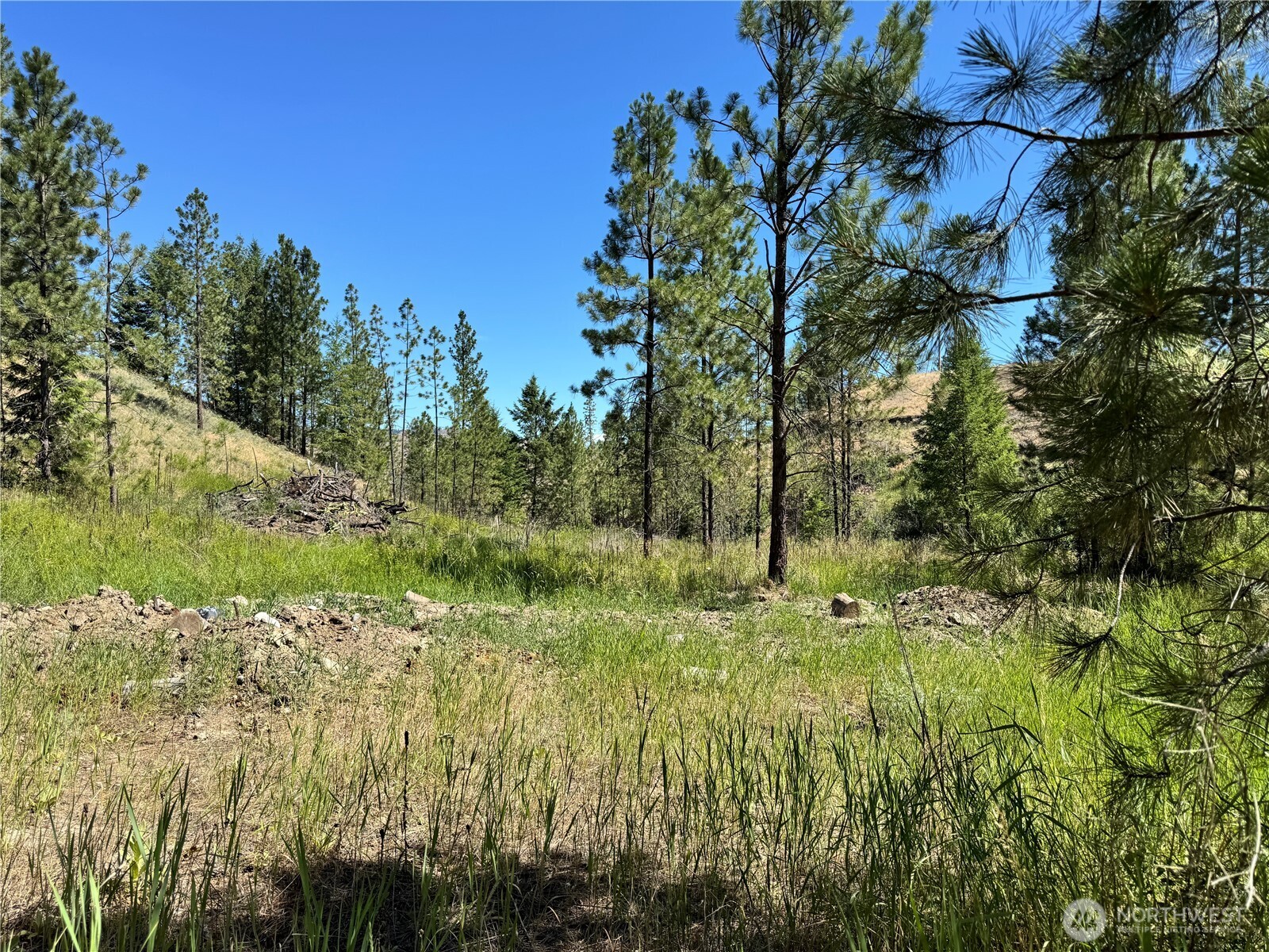 4-xxx Lundimow Meadows Road Curlew, WA 99118 - Photo 11 of 19 a view of a lush green space