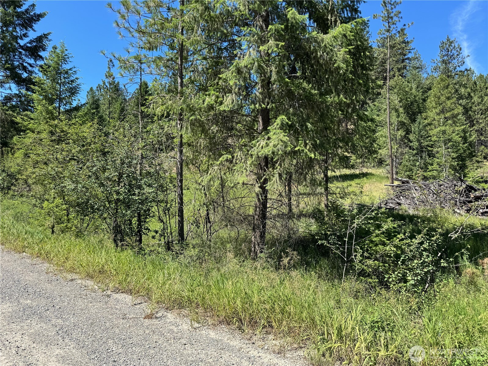 4-xxx Lundimow Meadows Road Curlew, WA 99118 - Photo 13 of 19 a view of a lush green space