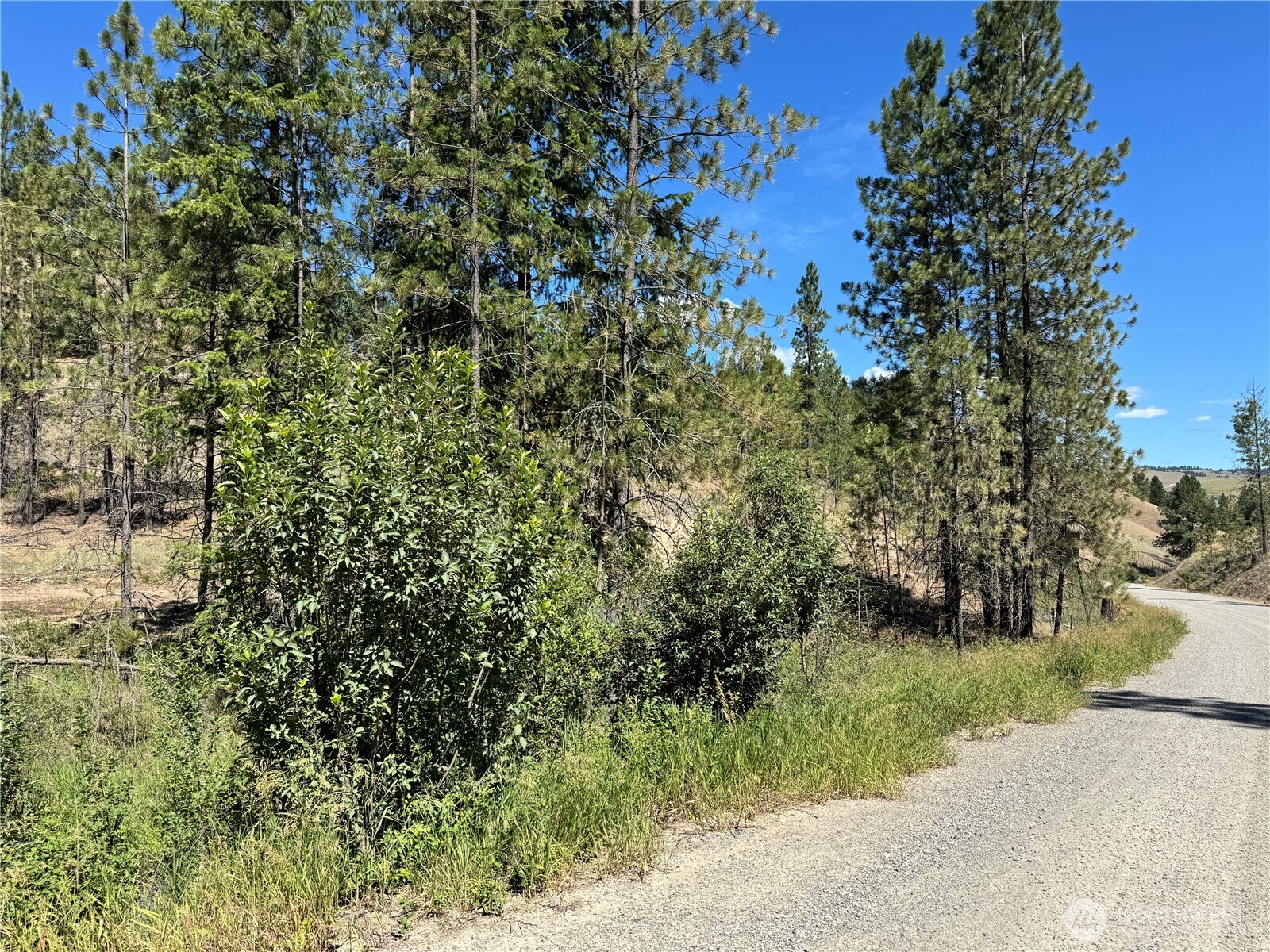 4-xxx Lundimow Meadows Road Curlew, WA 99118 - Photo 15 of 19 a view of a yard with plants and a bench