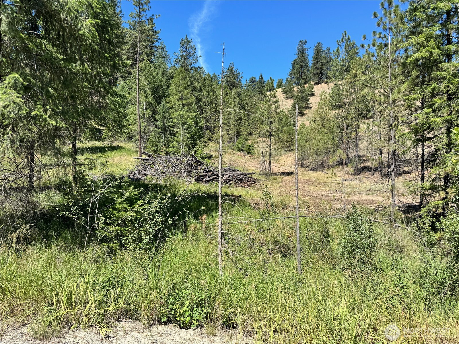 4-xxx Lundimow Meadows Road Curlew, WA 99118 - Photo 16 of 19 a view of yard with green space