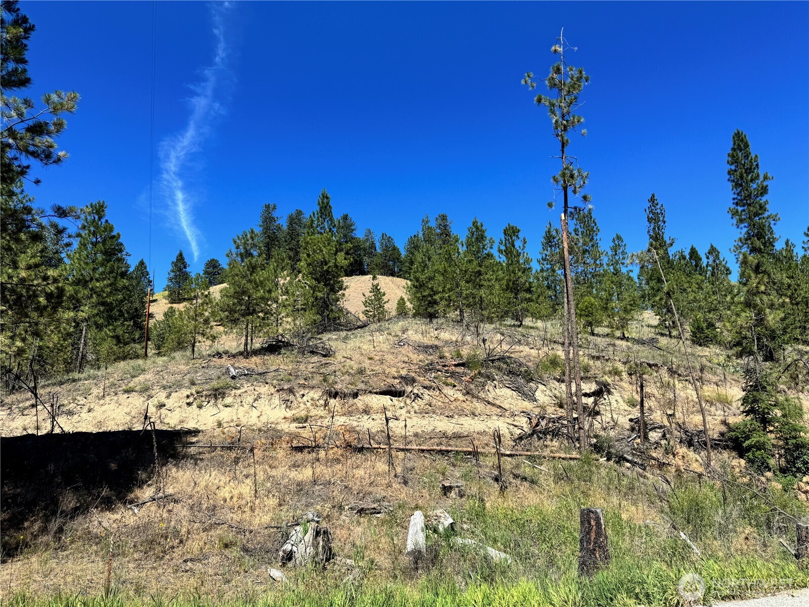 4-xxx Lundimow Meadows Road Curlew, WA 99118 - Photo 17 of 19 a view of a yard