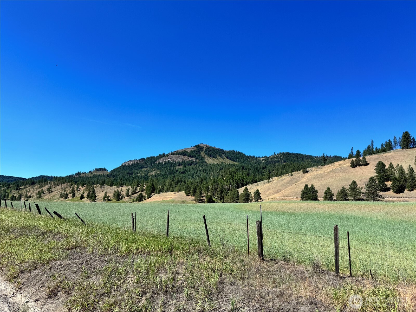 4-xxx Lundimow Meadows Road Curlew, WA 99118 - Photo 2 of 19 a view of a garden with an outdoor space
