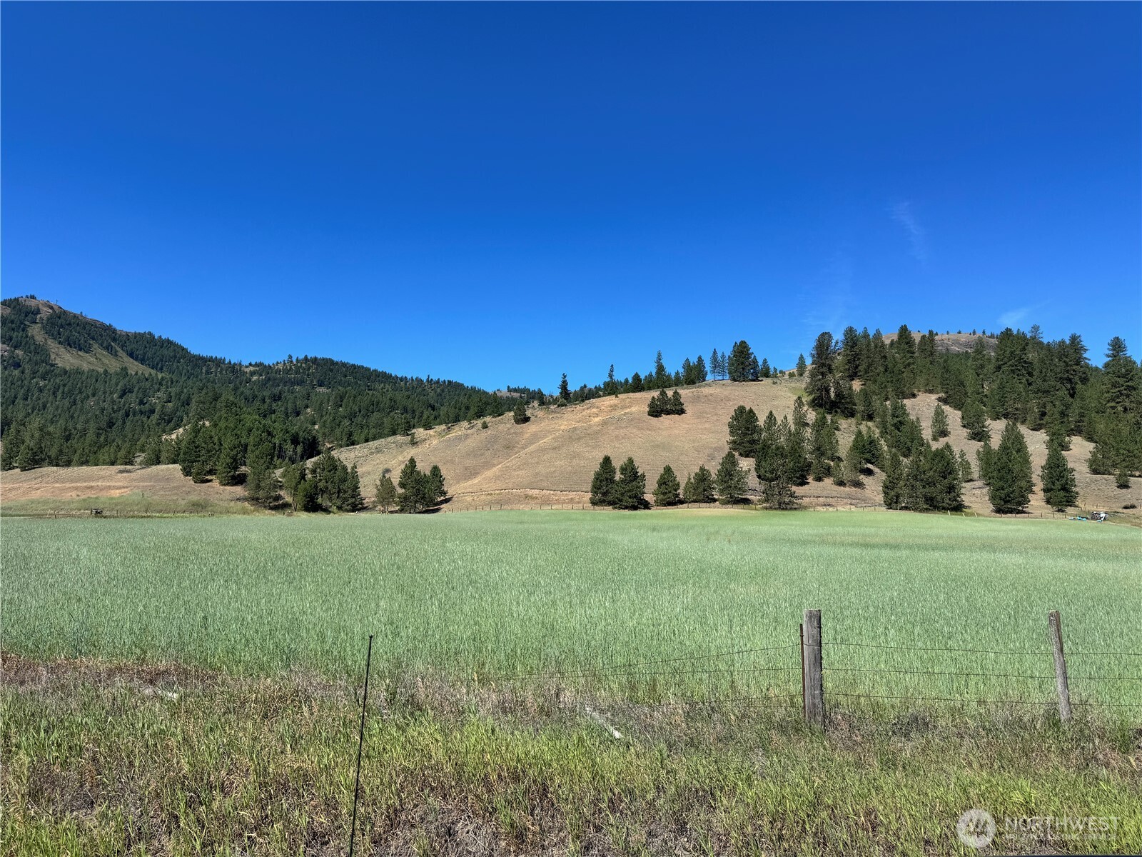 4-xxx Lundimow Meadows Road Curlew, WA 99118 - Photo 4 of 19 a view of a grassy field with trees