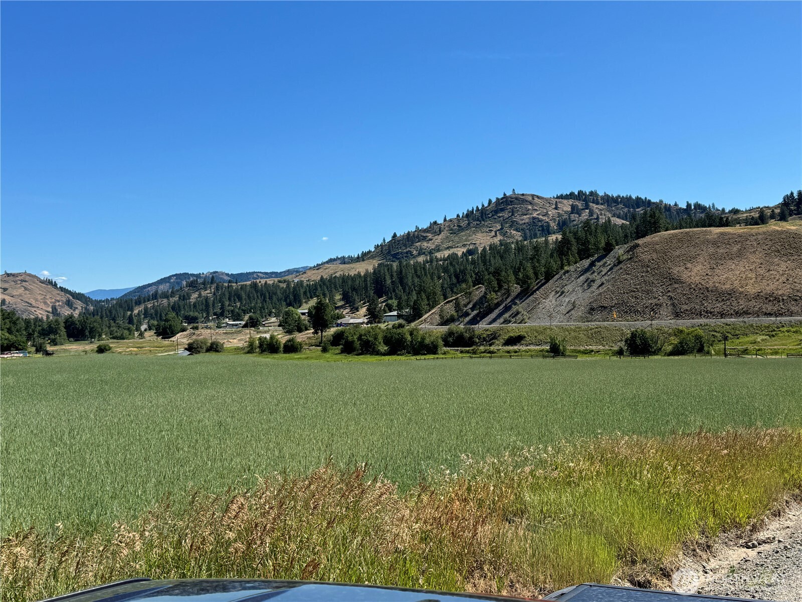 4-xxx Lundimow Meadows Road Curlew, WA 99118 - Photo 5 of 19 a view of a field with a house in the background
