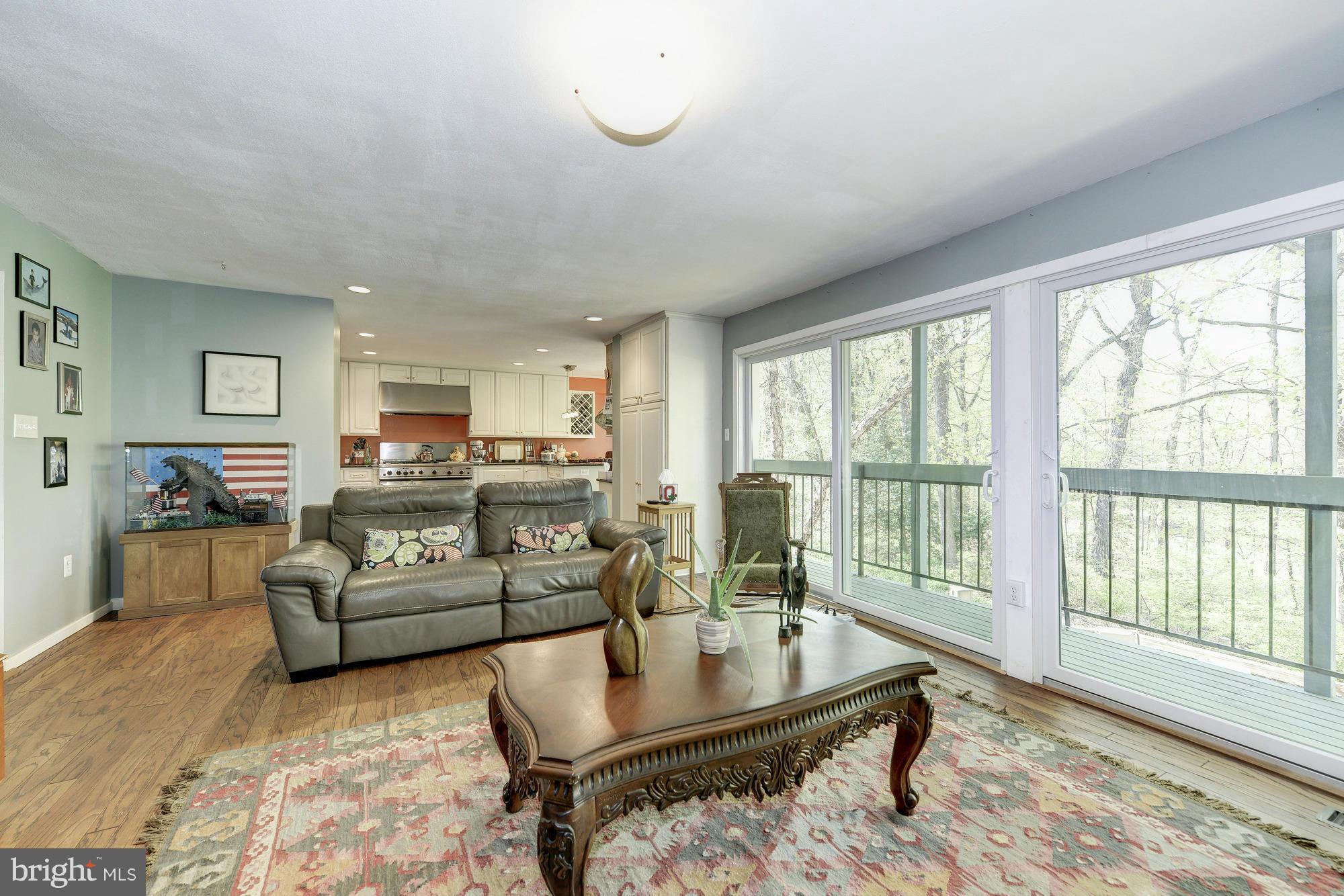 11650 Mediterranean Court Reston, VA 20190 - Photo 13 of 30 Living Room