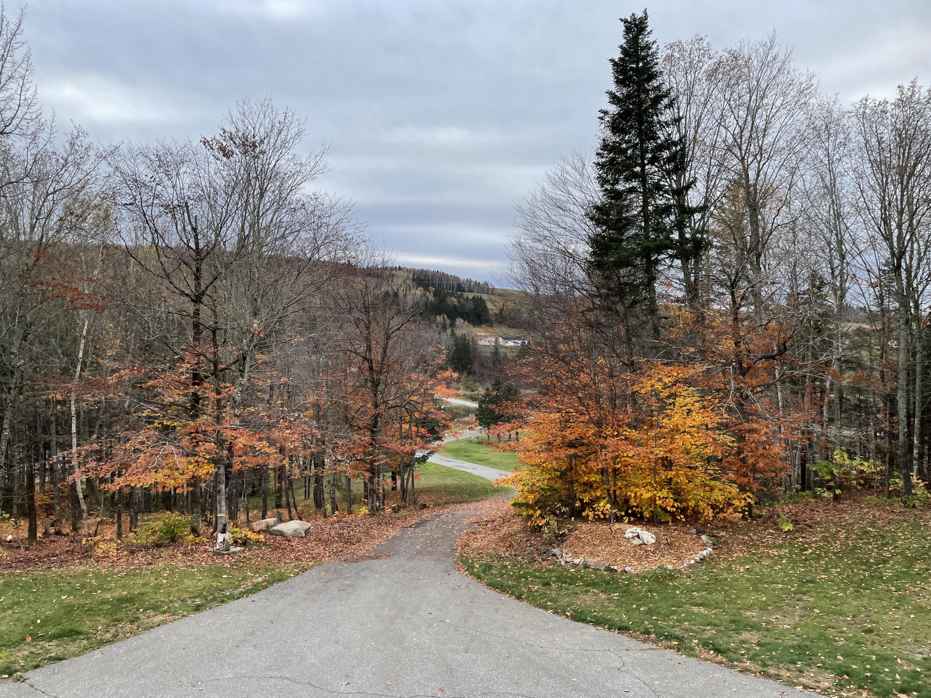 16 Clavette Road Fort Kent, ME 04743 - Photo 54 of 77 65651411622__60ADD1FA-0D34-4F39-B01E-C24