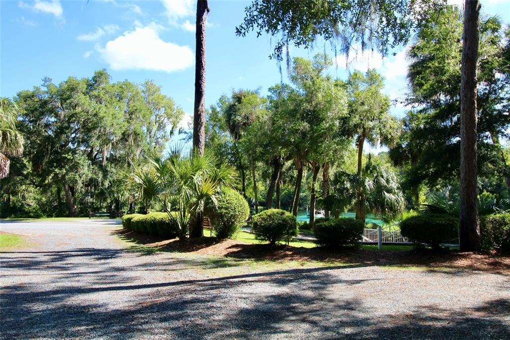 19786 Southwest 85th Loop Dunnellon, FL 34432 - Photo 66 of 91 Gallery Image 66