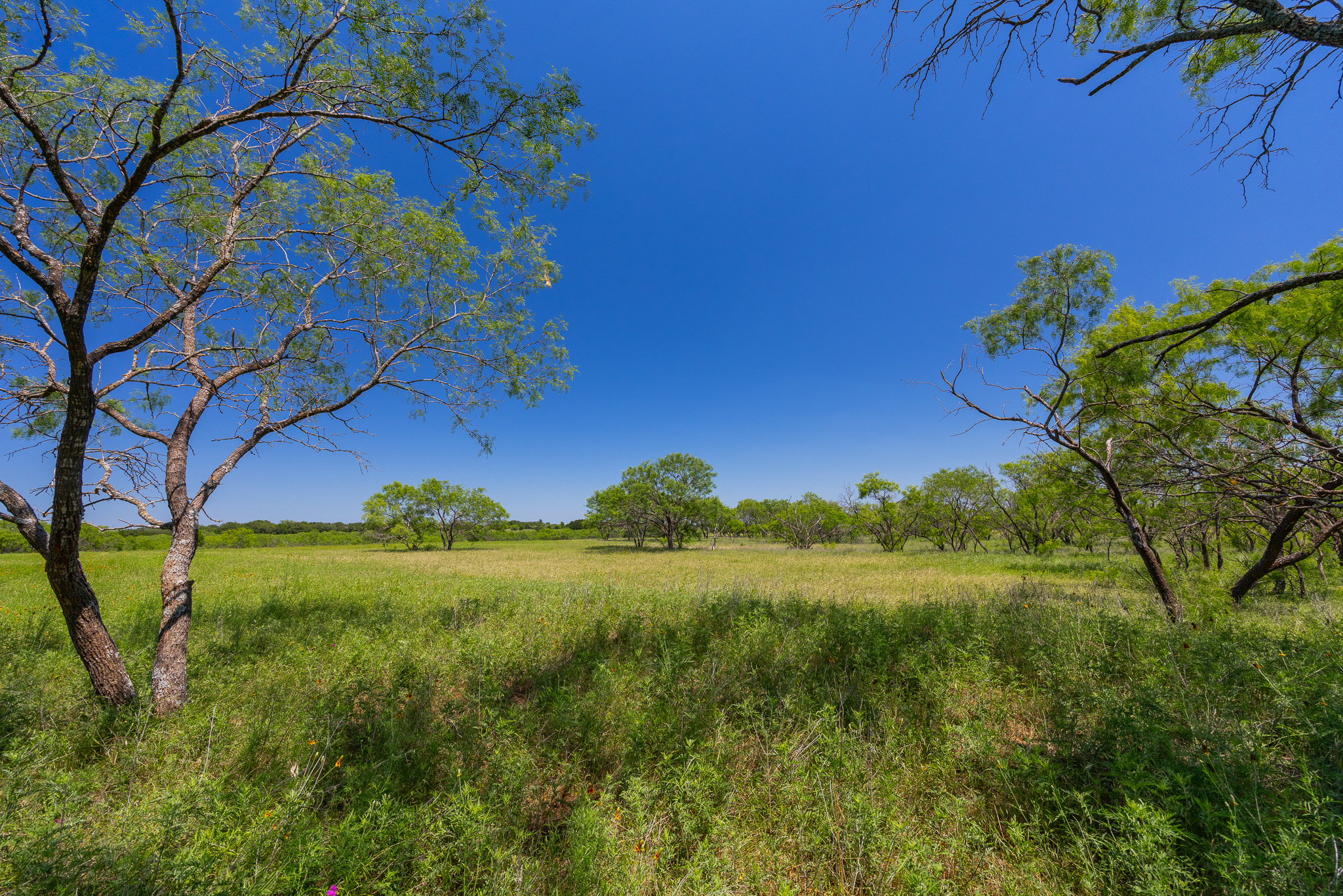180 Rd Purmela Tx 76566 Road Purmela, TX 76566 - Photo 17 of 32 Gallery Image 17