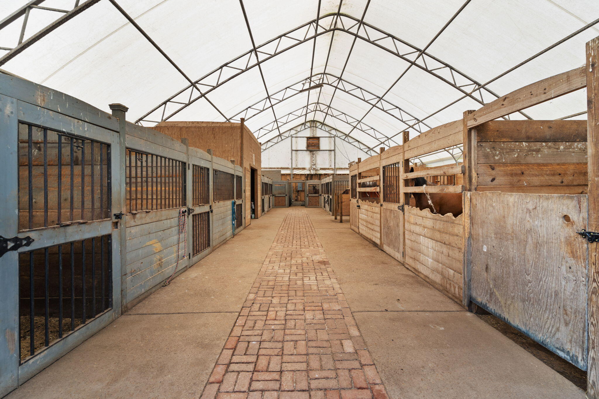 1223 Tunnel Hill Road Cleveland, TN 37311 - Photo 50 of 76 40-web-or-mls-1223 Tunnel Hill- Chasity-