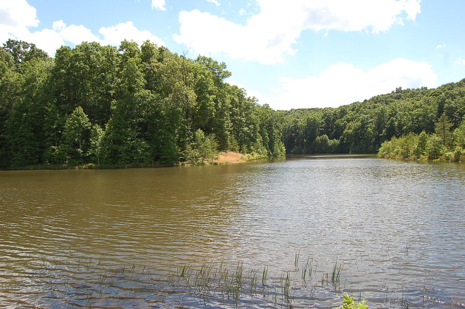 16 Sunbeam Lake Loop Road Dunlap, TN 37327 - Photo 1 of 22 Gallery Image 1