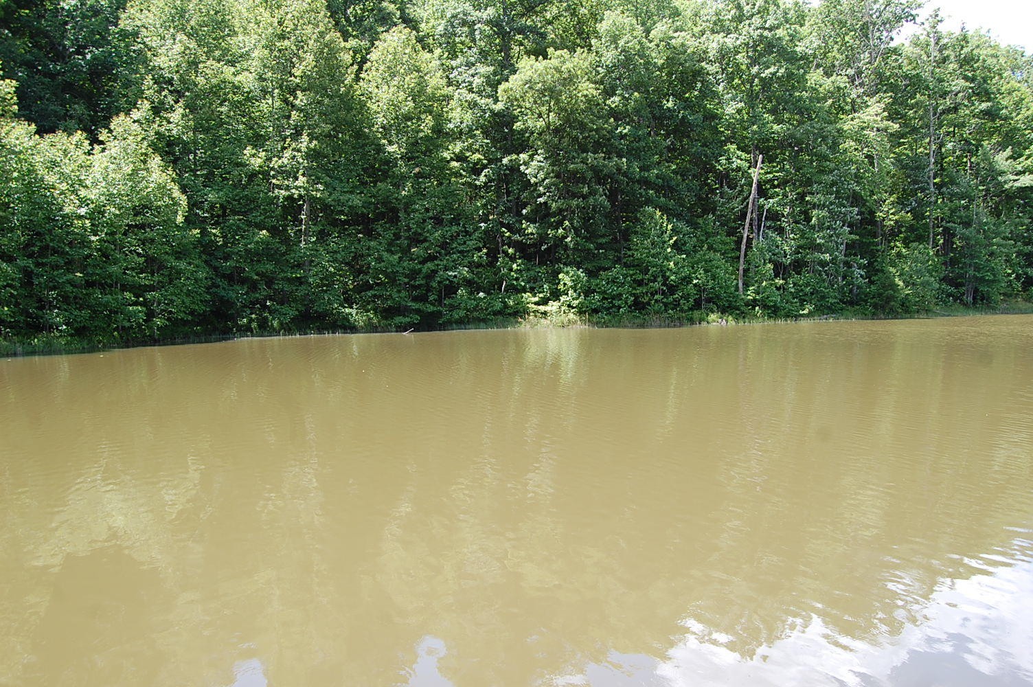 16 Sunbeam Lake Loop Road Dunlap, TN 37327 - Photo 11 of 22 Gallery Image 11