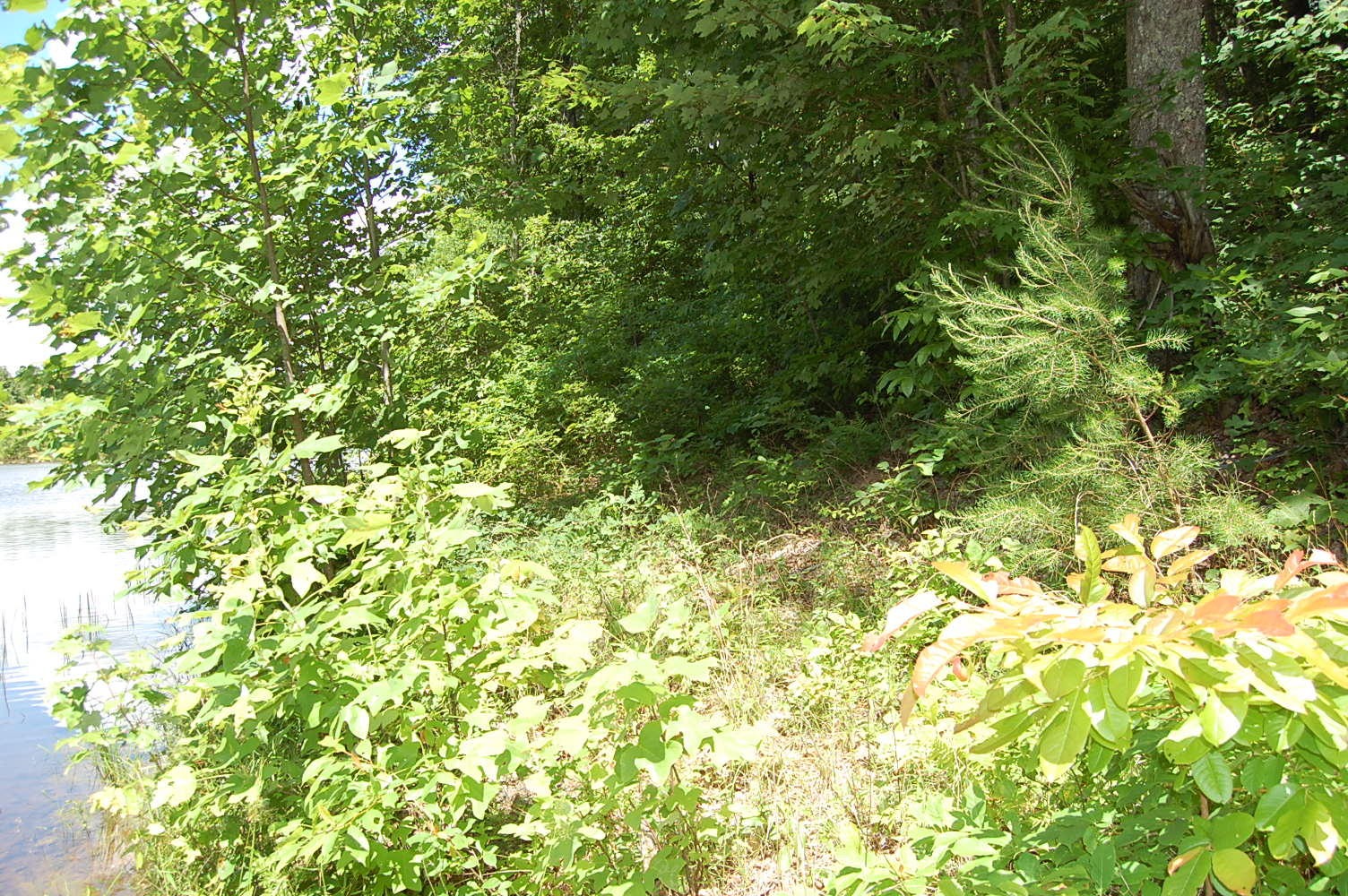 16 Sunbeam Lake Loop Road Dunlap, TN 37327 - Photo 13 of 22 Gallery Image 13