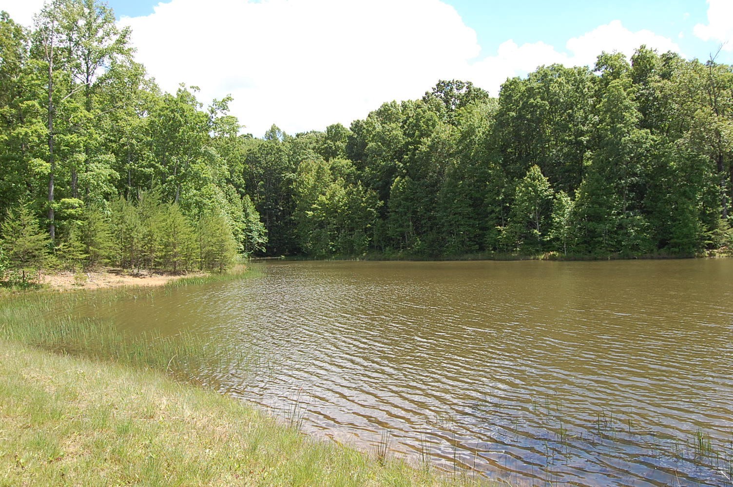 16 Sunbeam Lake Loop Road Dunlap, TN 37327 - Photo 19 of 22 Gallery Image 19