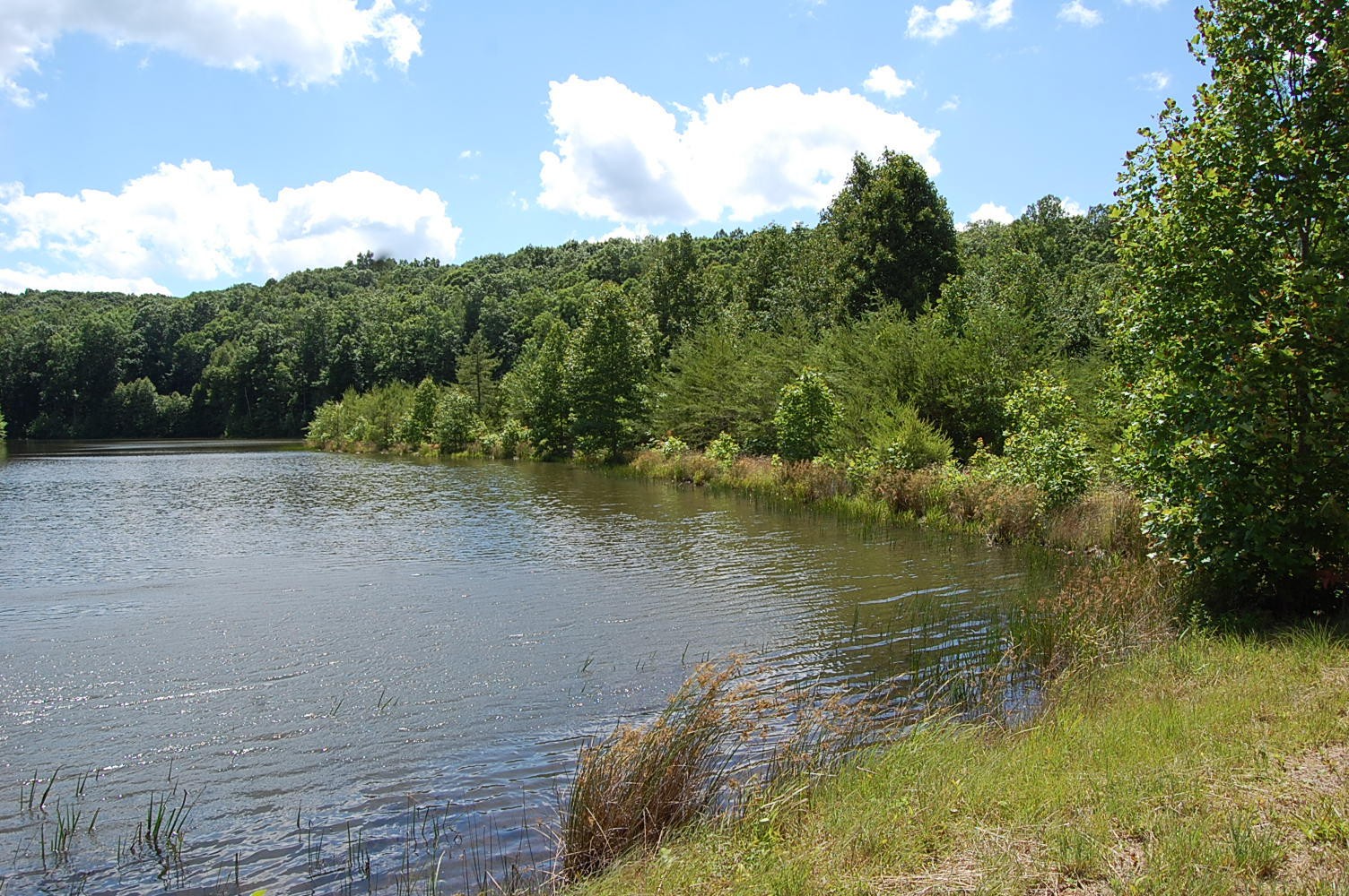 16 Sunbeam Lake Loop Road Dunlap, TN 37327 - Photo 20 of 22 Gallery Image 20