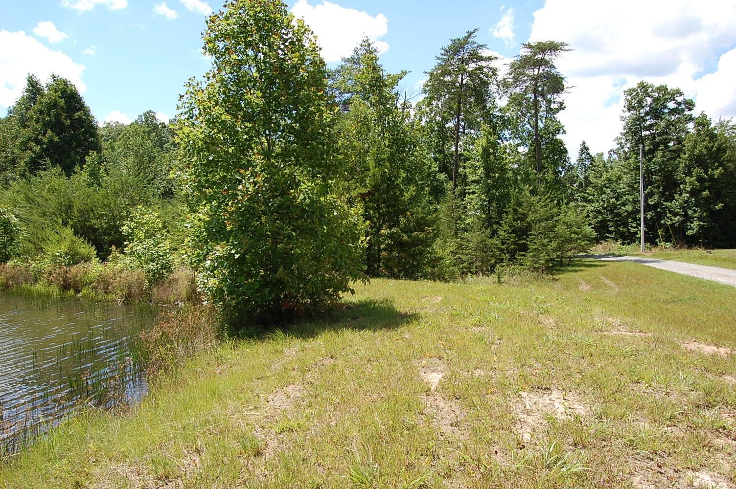 16 Sunbeam Lake Loop Road Dunlap, TN 37327 - Photo 21 of 22 Gallery Image 21