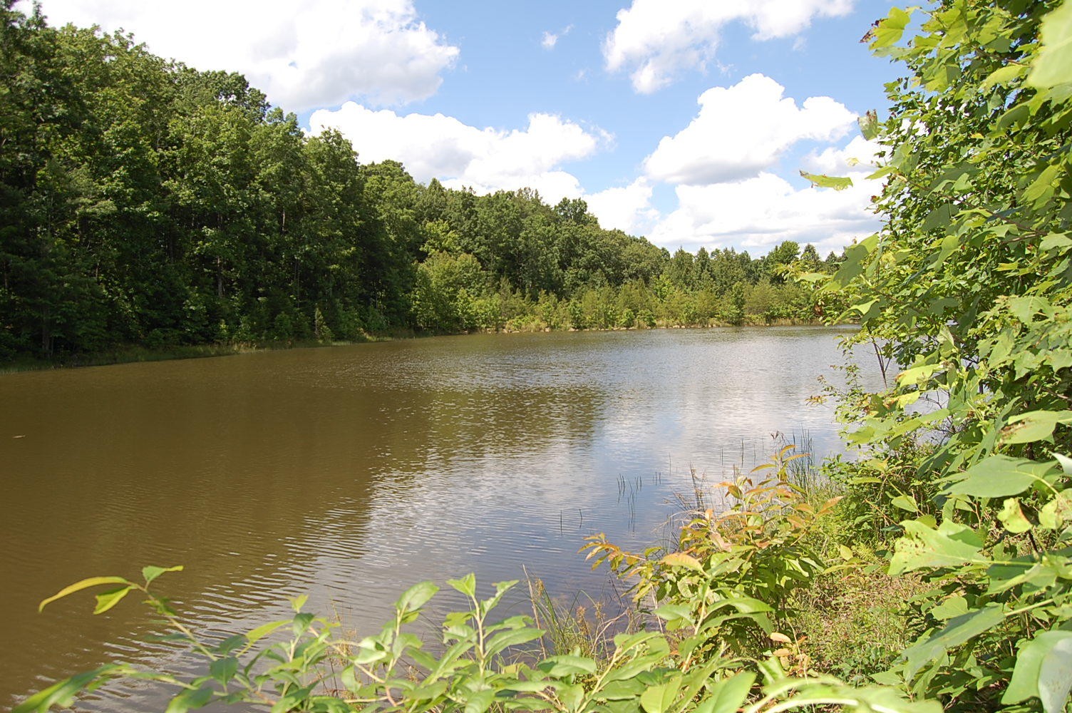 16 Sunbeam Lake Loop Road Dunlap, TN 37327 - Photo 7 of 22 Gallery Image 7