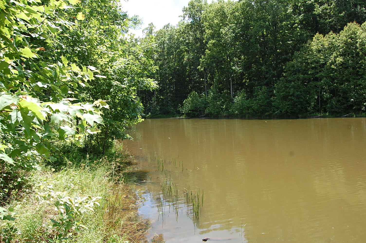 16 Sunbeam Lake Loop Road Dunlap, TN 37327 - Photo 8 of 22 Gallery Image 8