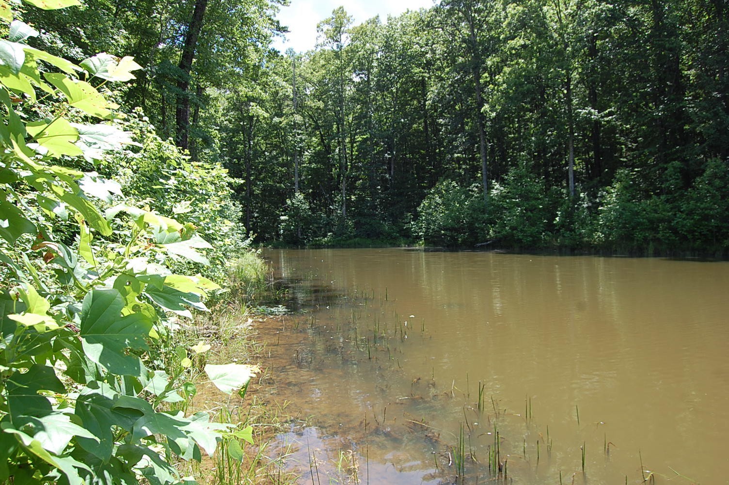 16 Sunbeam Lake Loop Road Dunlap, TN 37327 - Photo 9 of 22 Gallery Image 9