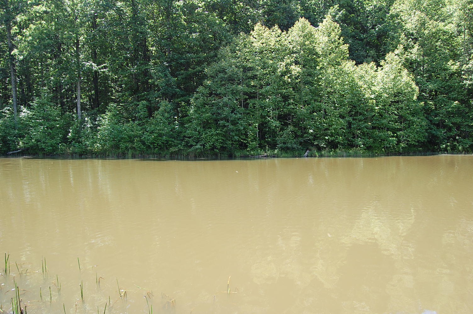 16 Sunbeam Lake Loop Road Dunlap, TN 37327 - Photo 10 of 22 Gallery Image 10