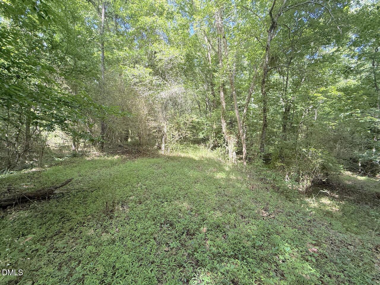 0 Tar River Road Oxford, NC 27565 - Photo 20 of 34 20