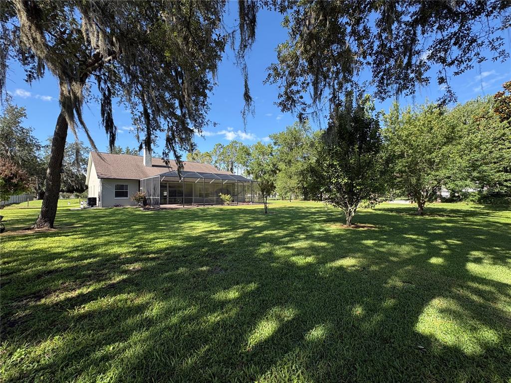 6913 Colley Road Odessa, FL 33556 - Photo 4 of 5