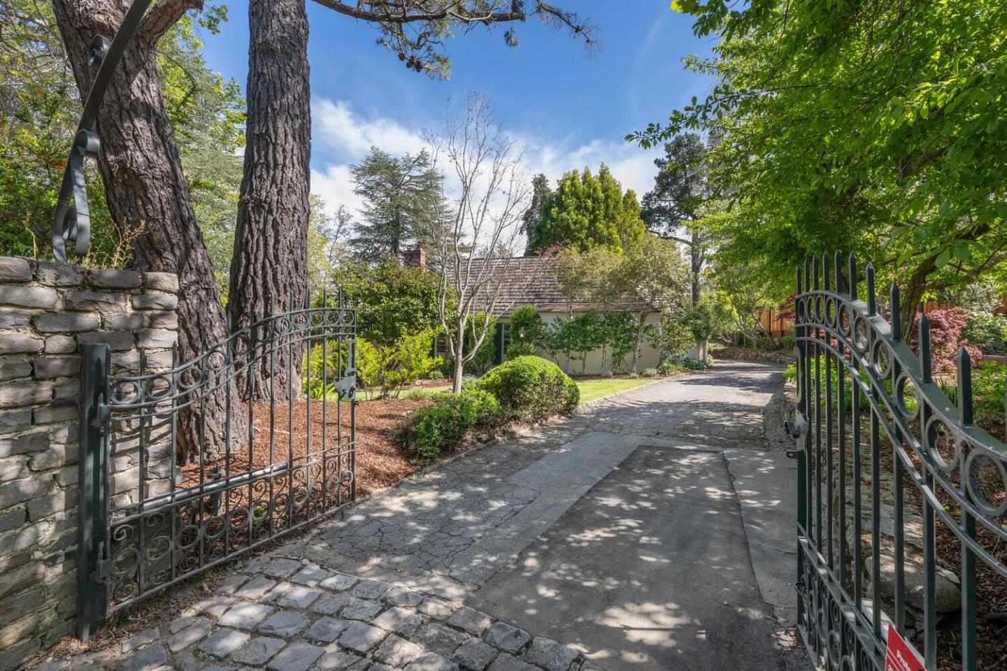 841 Hayne Road Hillsborough, CA 94010 - Photo 6 of 78 a view of a yard with plants and large trees