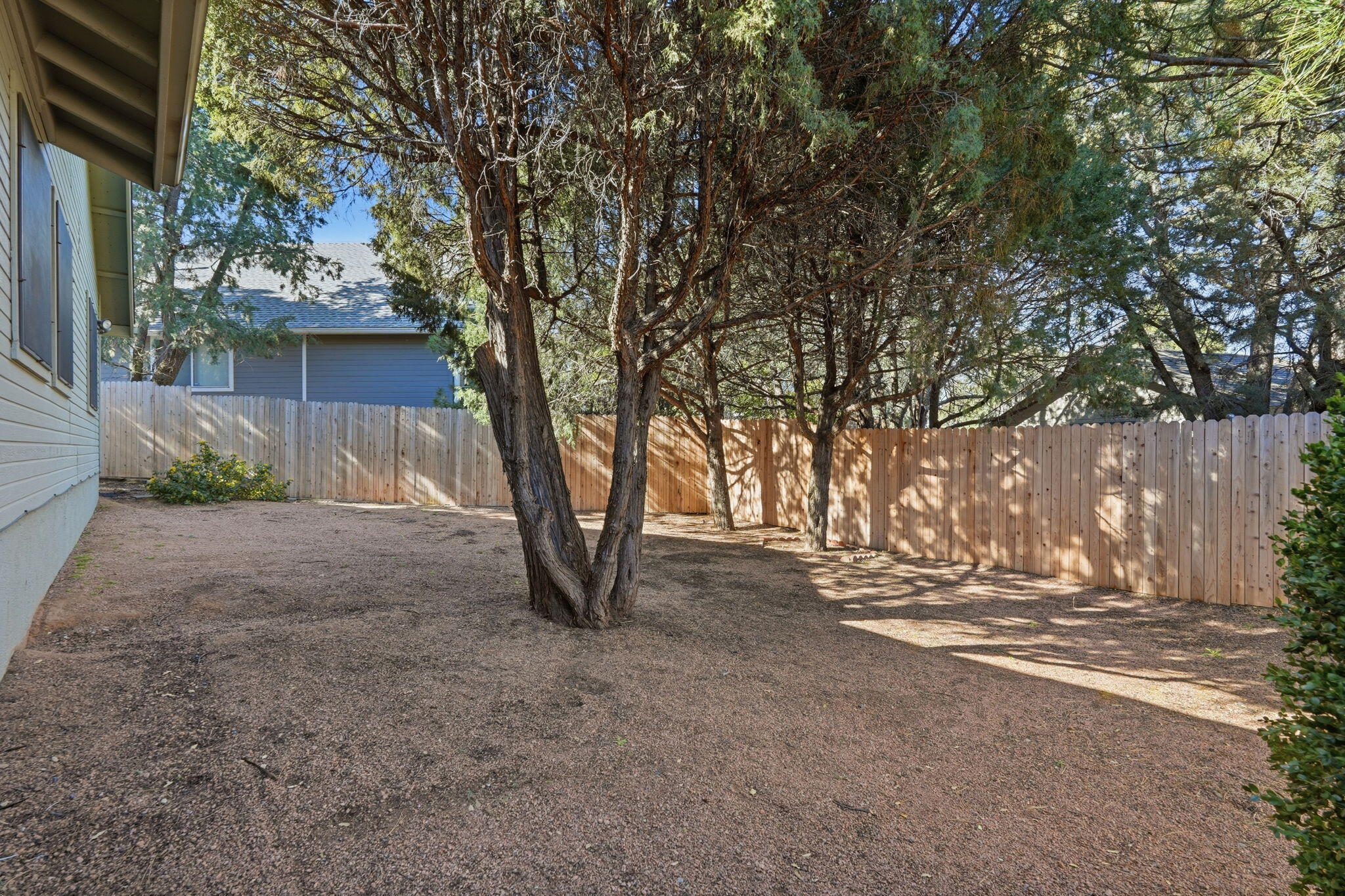 310 North Trailwood Road Payson, AZ 85541 - Photo 49 of 55 a view of dirt yard with a large tree