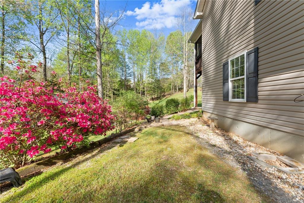 3454 Highway 254 Cleveland, GA 30528 - Photo 36 of 52 a view of a garden with flowers