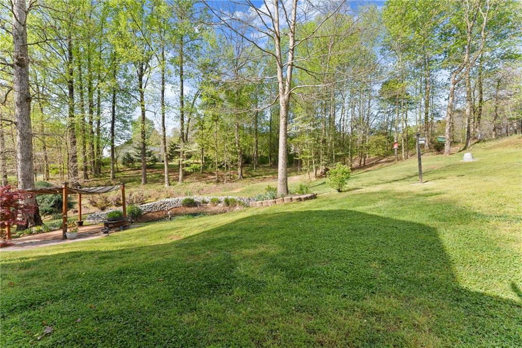 3454 Highway 254 Cleveland, GA 30528 - Photo 44 of 52 a view of a park with large trees