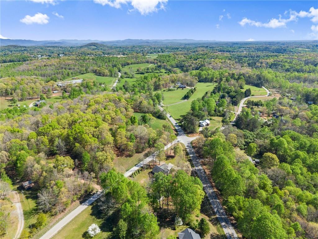 3454 Highway 254 Cleveland, GA 30528 - Photo 51 of 52 a view of a city with lush green forest