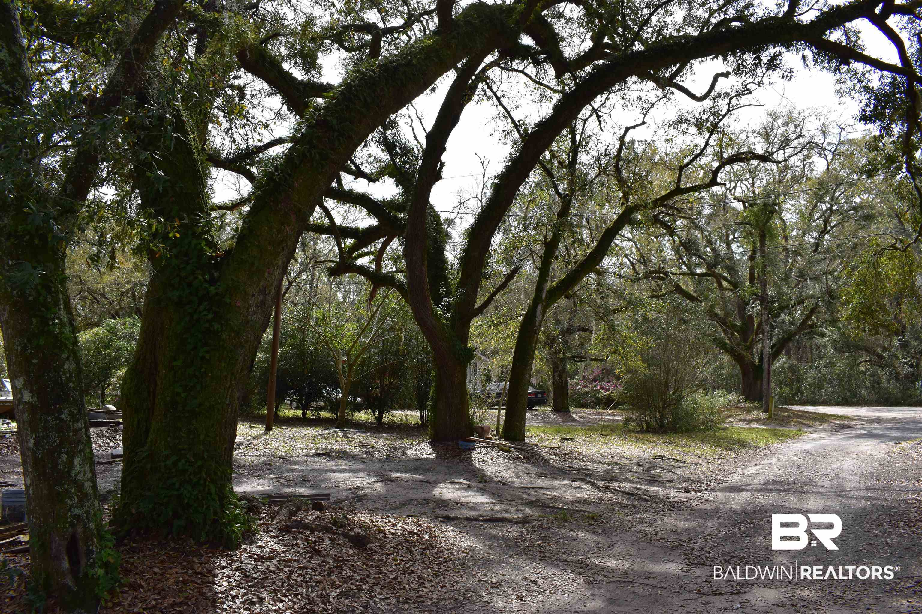 0 Antioch Road Fairhope, AL 36532 - Photo 10 of 21