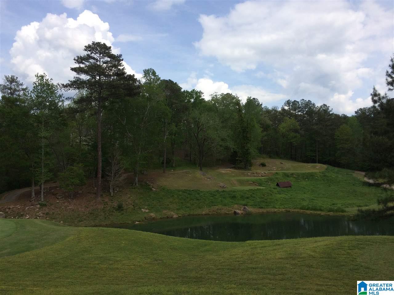 0 Bellerive Circle, Unit 160 Oneonta, AL 35121 - Photo 2 of 19