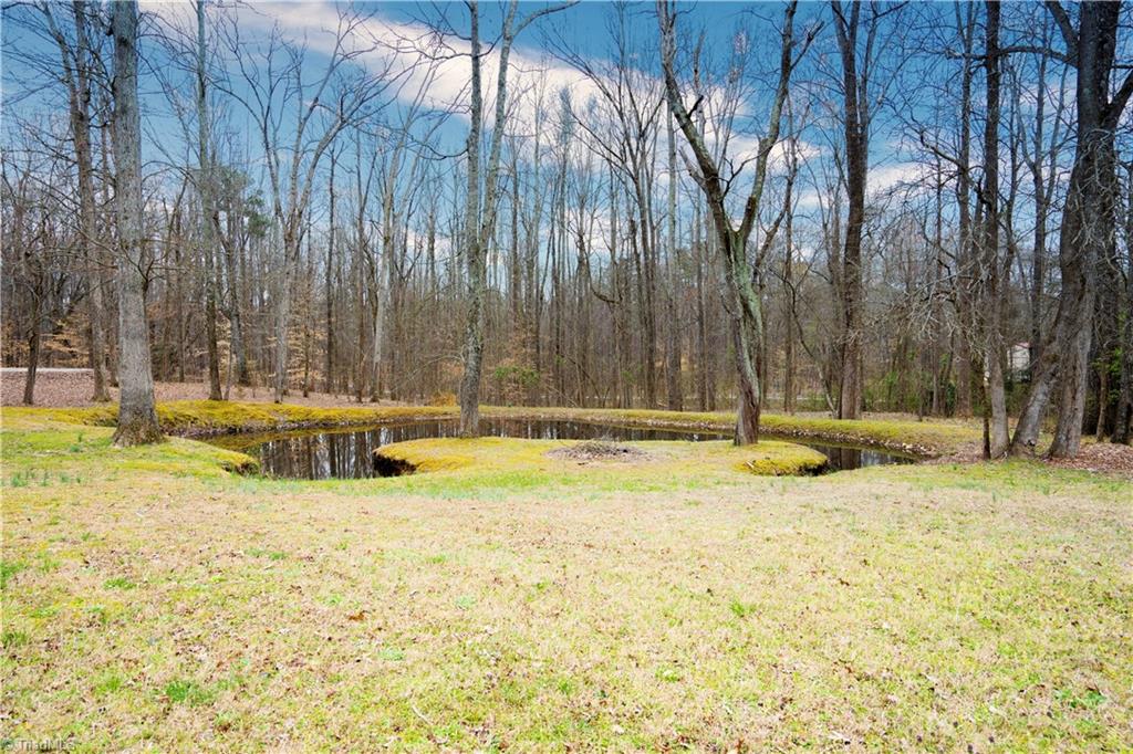 5200 Folgers Mill Road Julian, NC 27283 - Photo 20 of 20 Pond