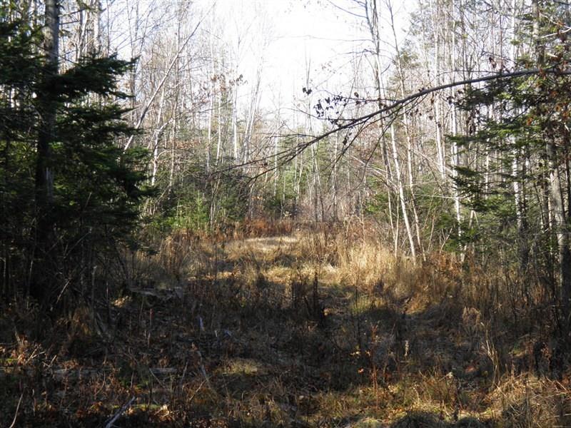 1200 Soule Road Phillips, ME 04966 - Photo 20 of 25 Photo