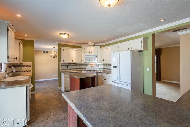 14668 Autumn Road Wapella, IL 61777 - Photo 5 of 21