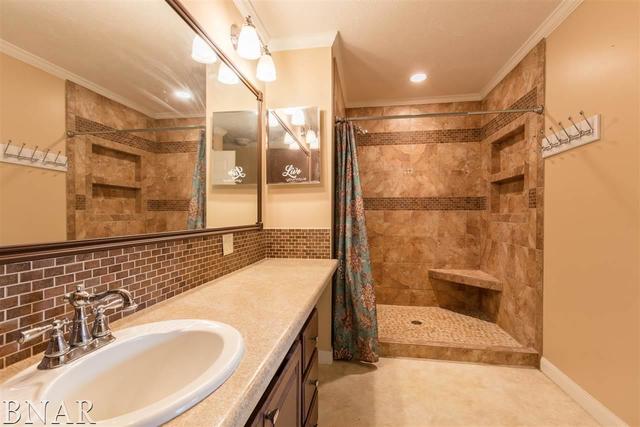 14668 Autumn Road Wapella, IL 61777 - Photo 7 of 21