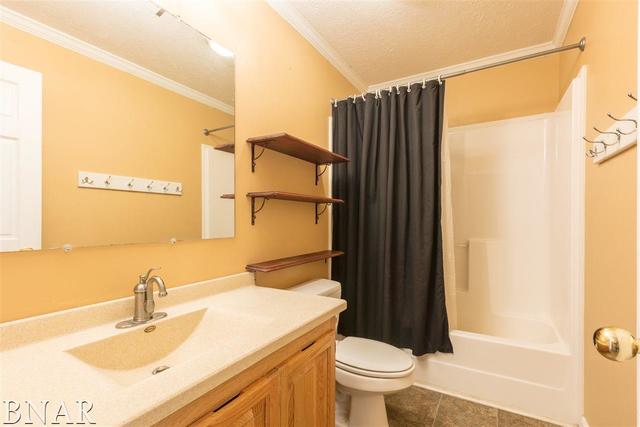 14668 Autumn Road Wapella, IL 61777 - Photo 10 of 21