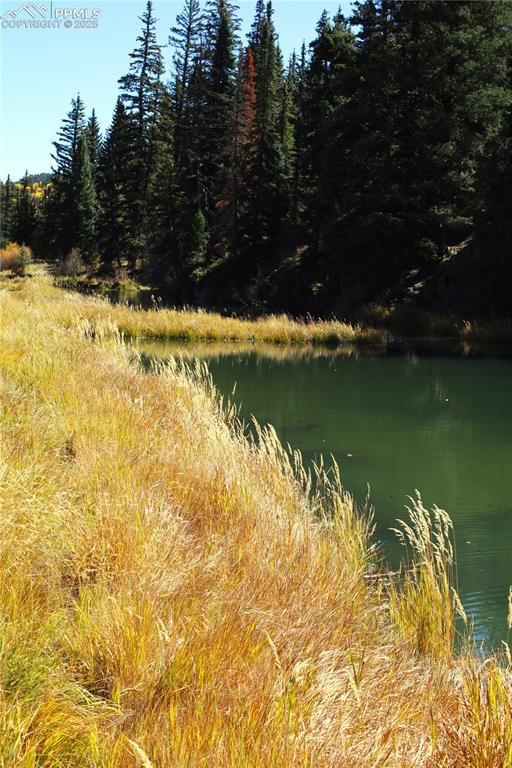 38938 Nf-250 Road Antonito, CO 81120 - Photo 15 of 15 a view of a water pond with lots of trees