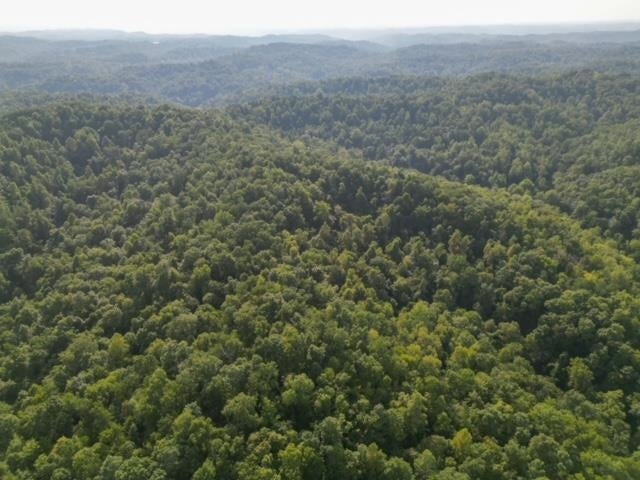 0 Lycans Branch Road Ona, WV 25545 - Photo 4 of 12 Gallery Image 4