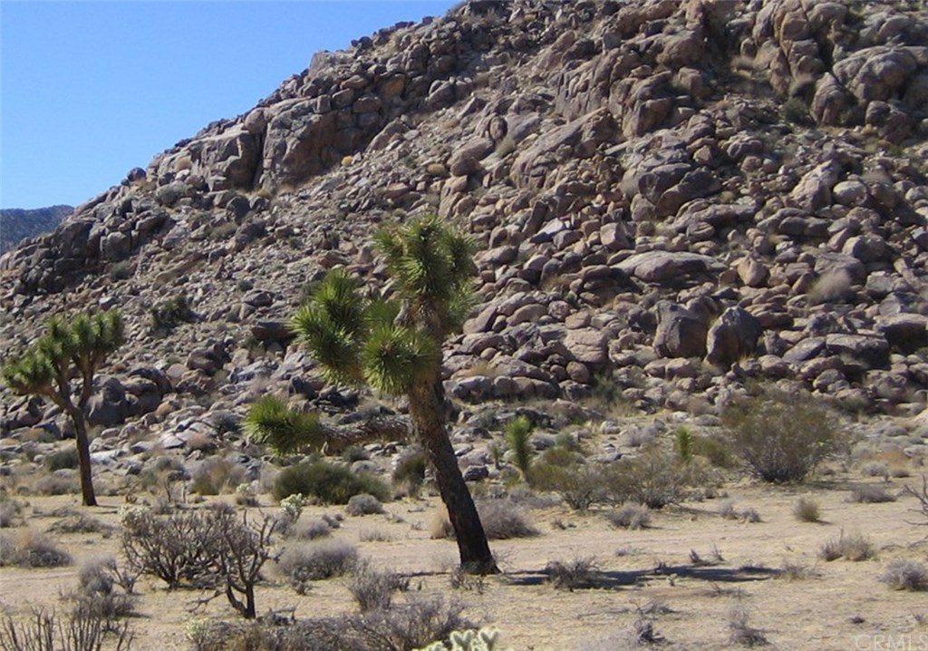 0 Desert Shadows Road Joshua Tree, CA 92252 - Photo 1 of 1