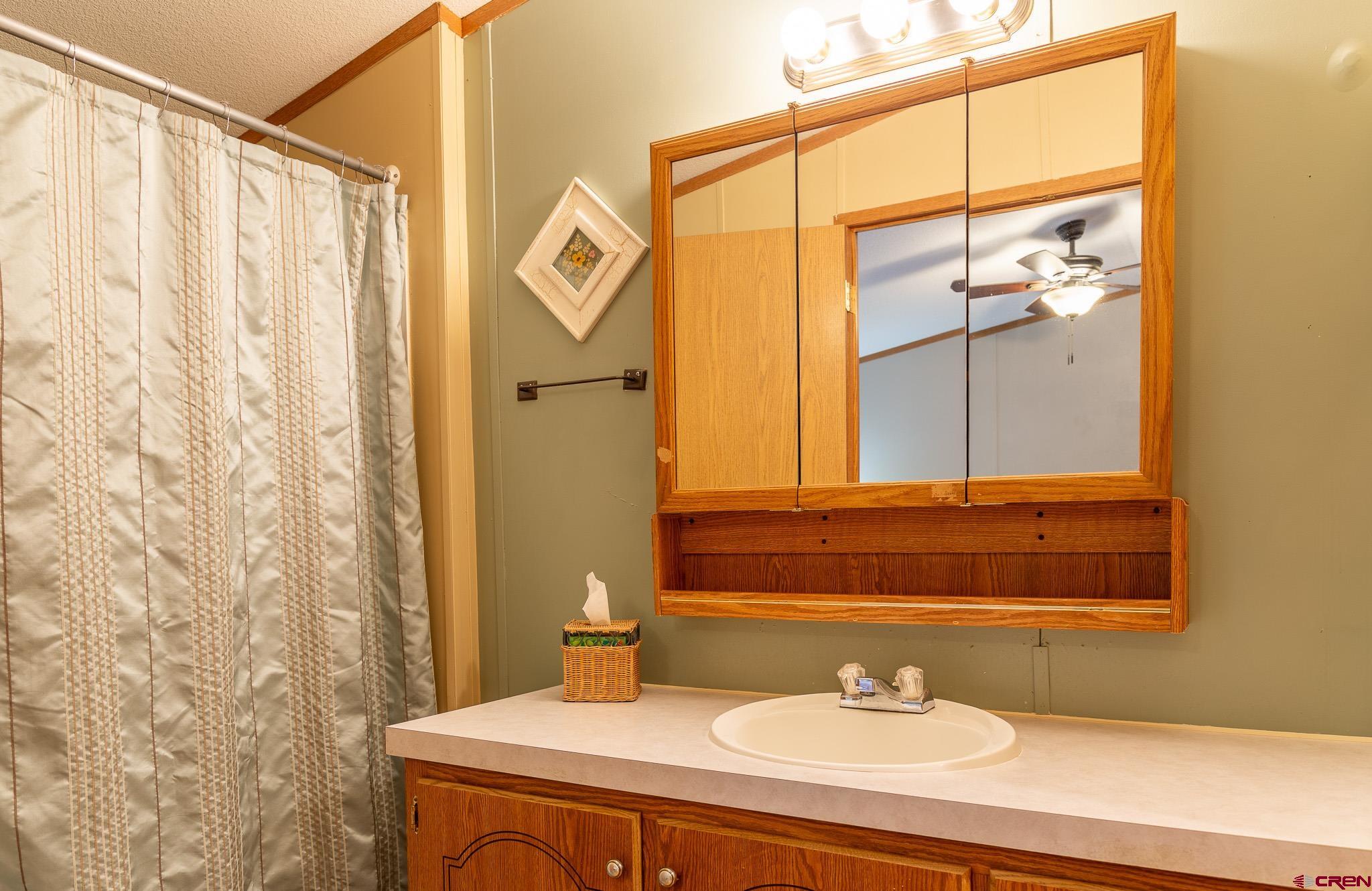 263 Mountain River Drive Bayfield, CO 81122 - Photo 12 of 21 a bathroom with a sink and a mirror