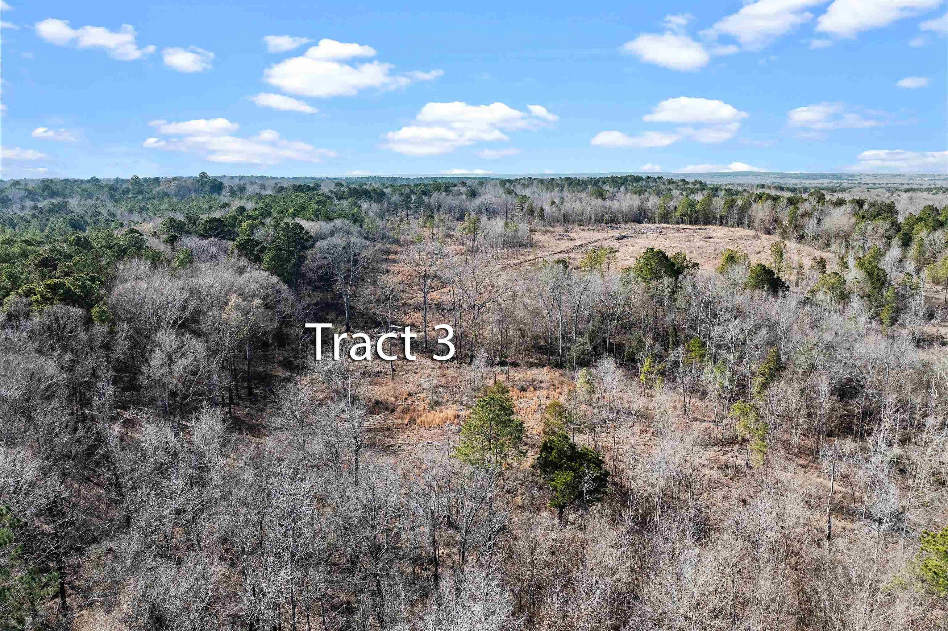 Tbd Baker Bridge Road Marshall, TX 75670 - Photo 10 of 10 Gallery Image 10