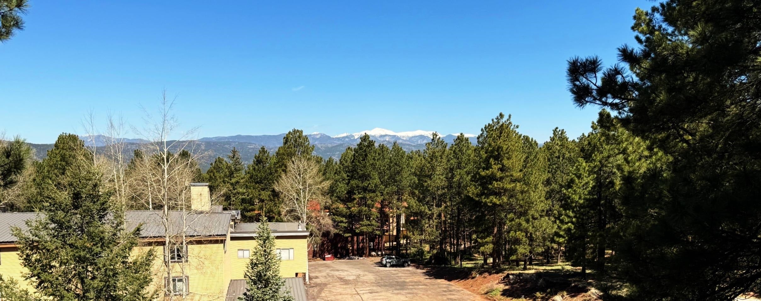 10 Jackson Hole Road, Unit 303 Angel Fire, NM 87710 - Photo 10 of 19 Gallery Image 10