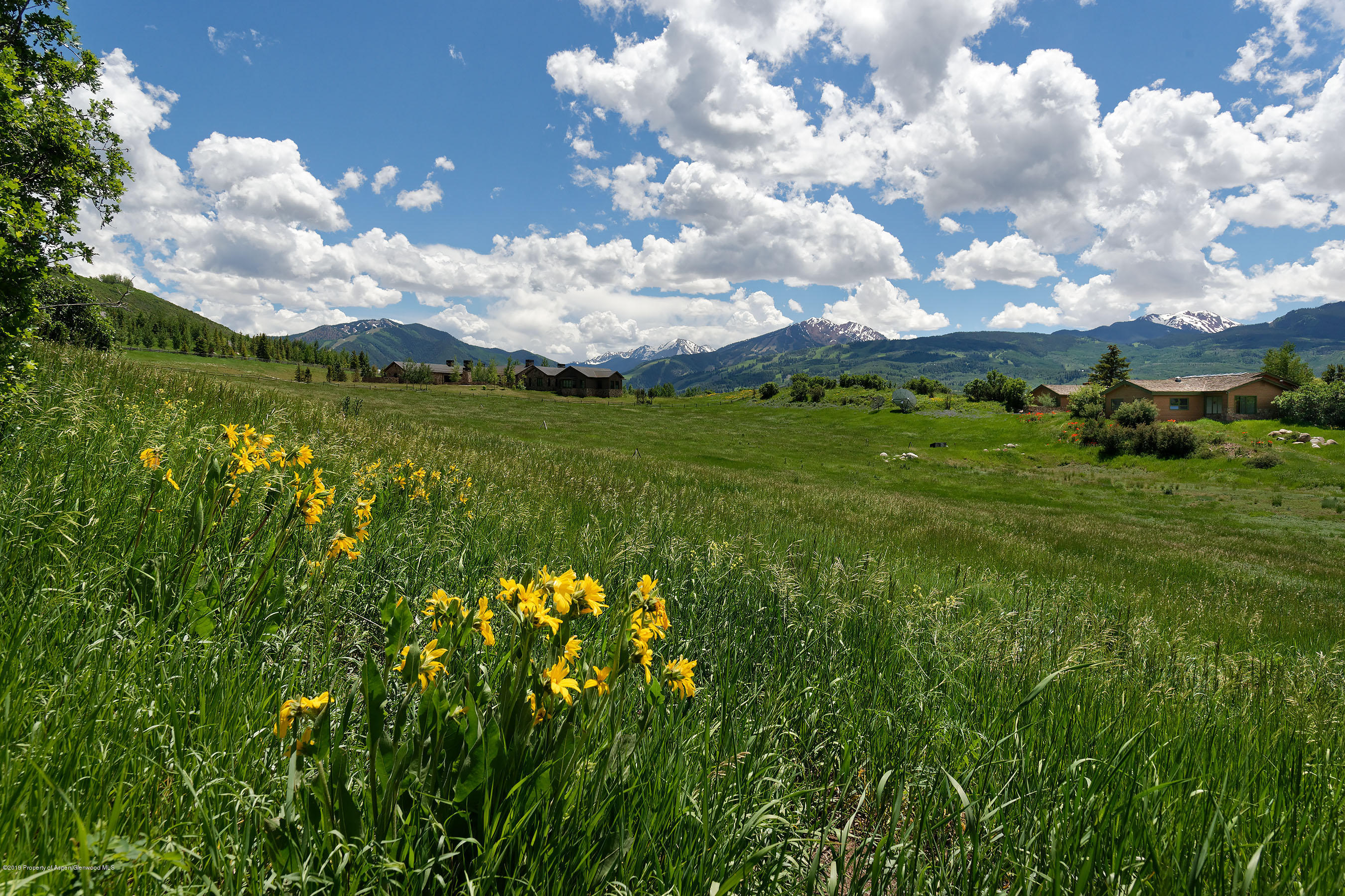 1765 McLain Flats Road Aspen, CO 81612 - Photo 14 of 73 1765McLainFlats_DASH582