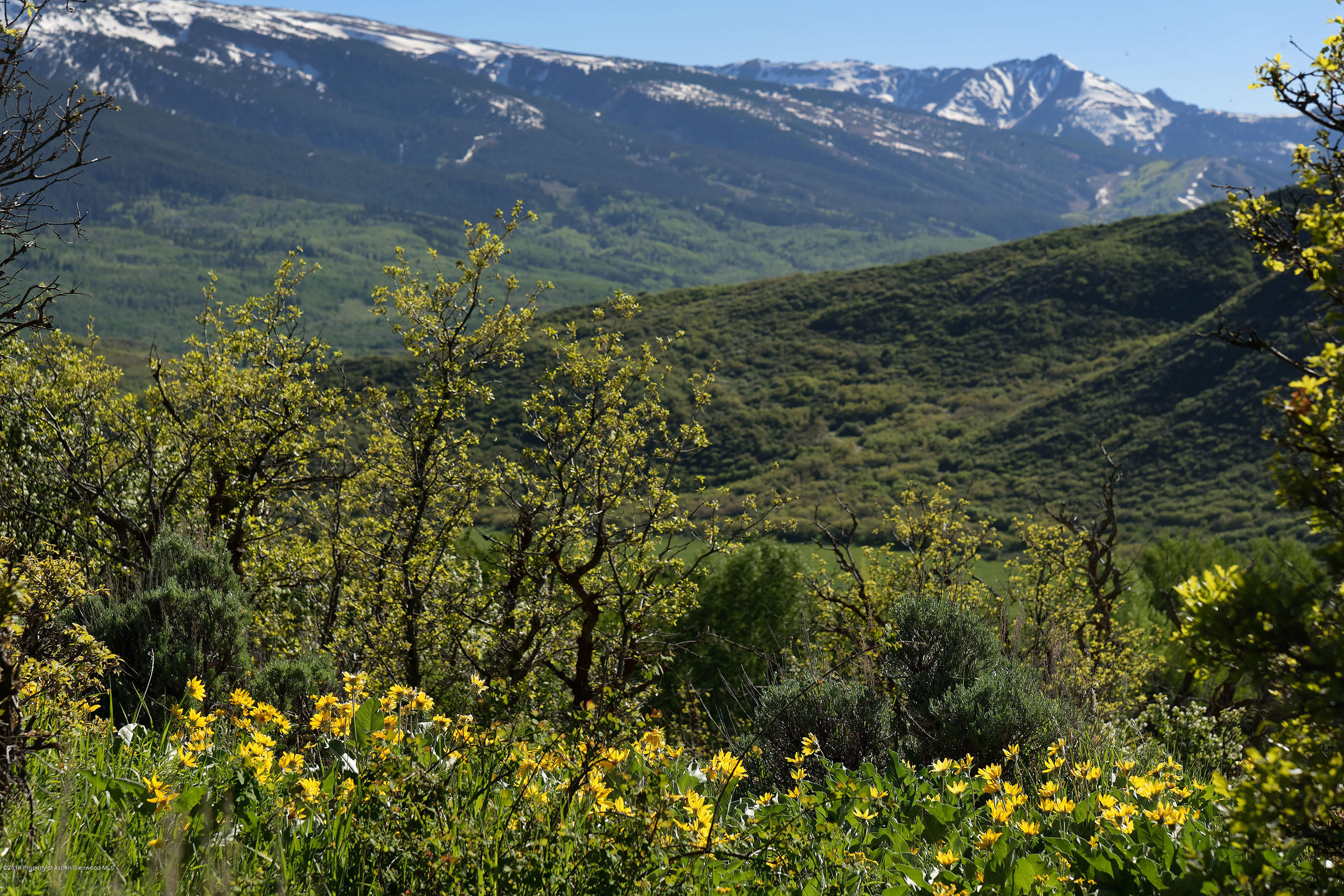 1765 McLain Flats Road Aspen, CO 81612 - Photo 69 of 73 a view of a lush green hillside and a building