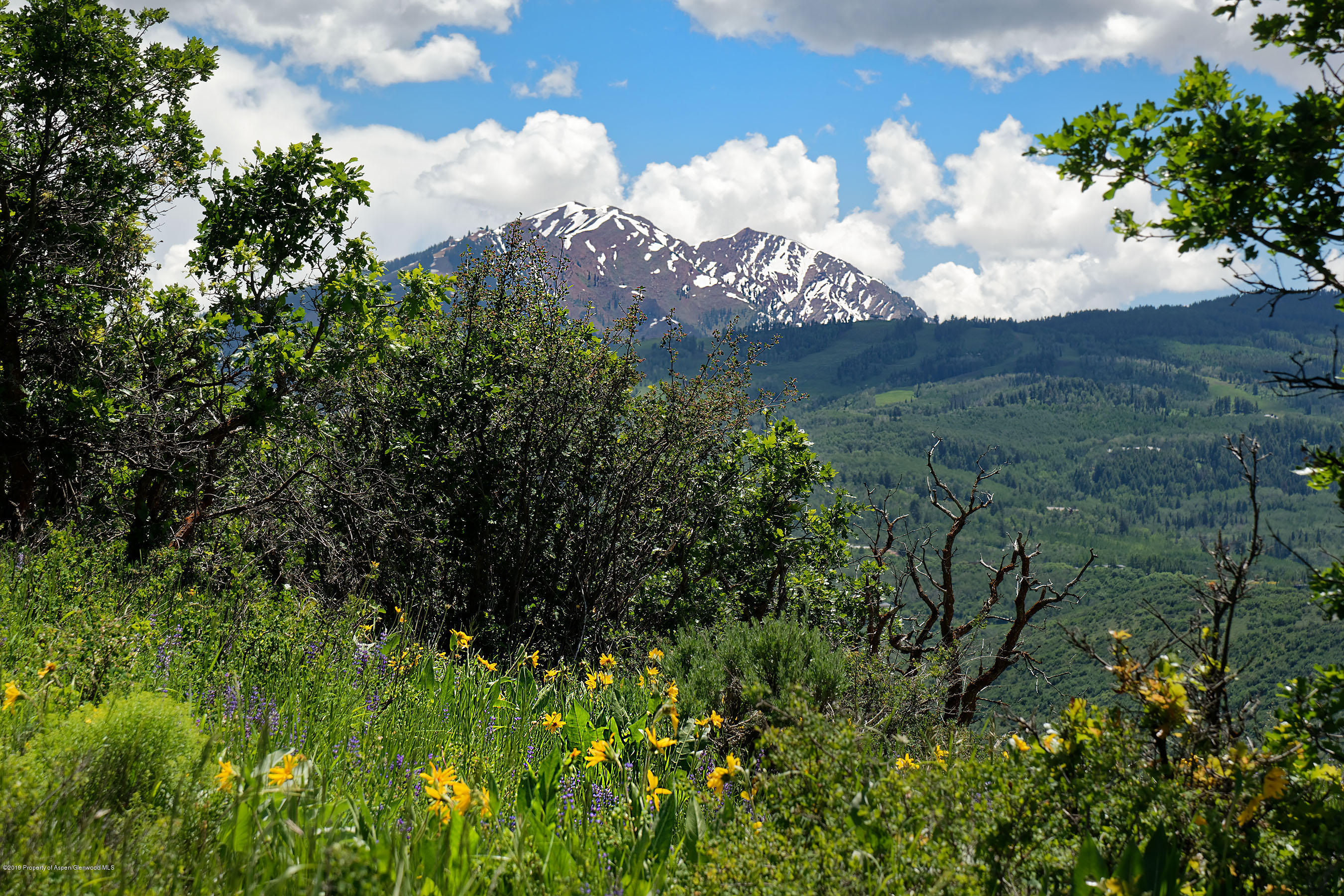 1765 McLain Flats Road Aspen, CO 81612 - Photo 7 of 73 1765McLainFlats_DASH587