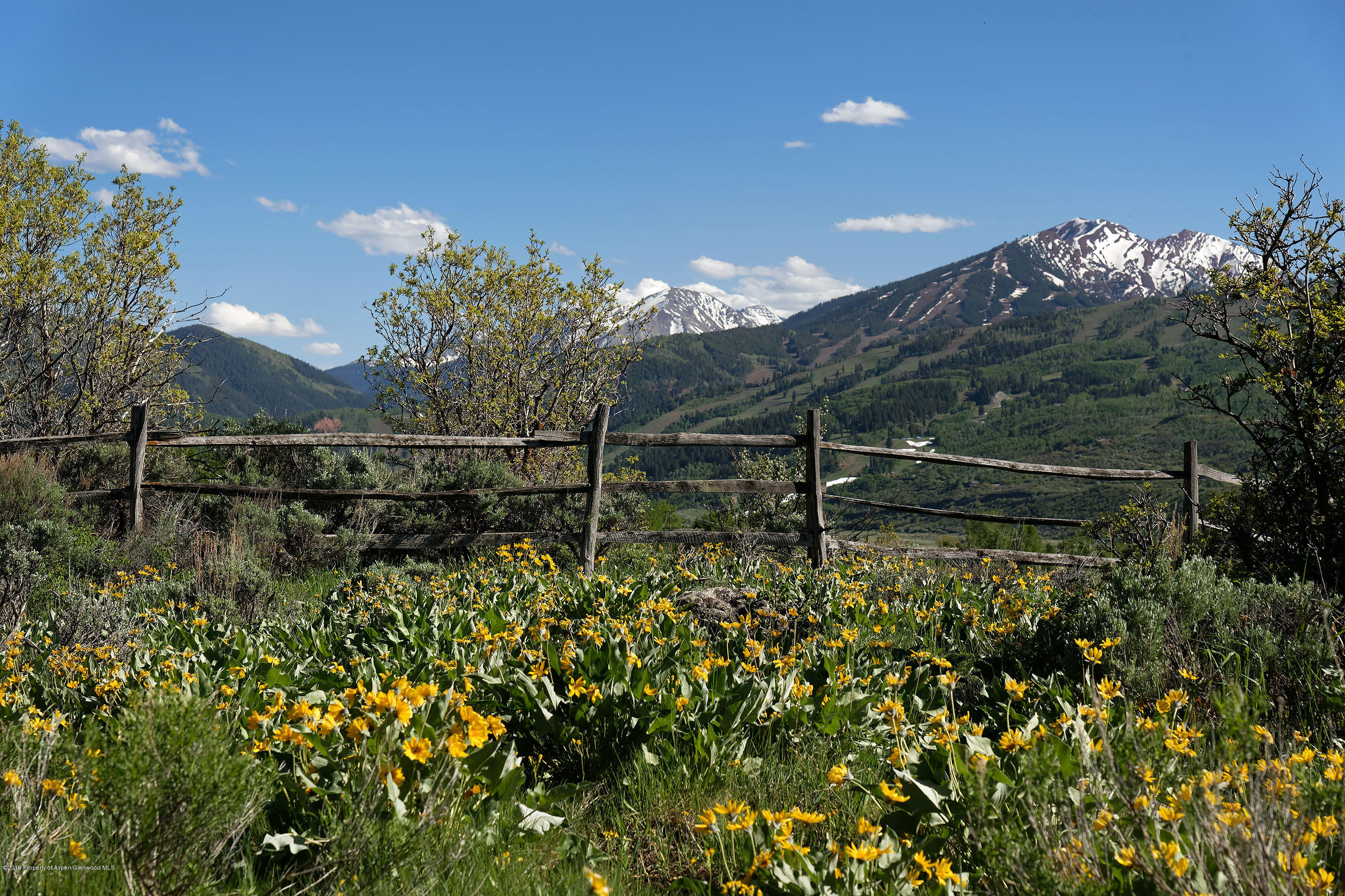 1765 McLain Flats Road Aspen, CO 81612 - Photo 72 of 73 1765 McLain Flats_summer 8