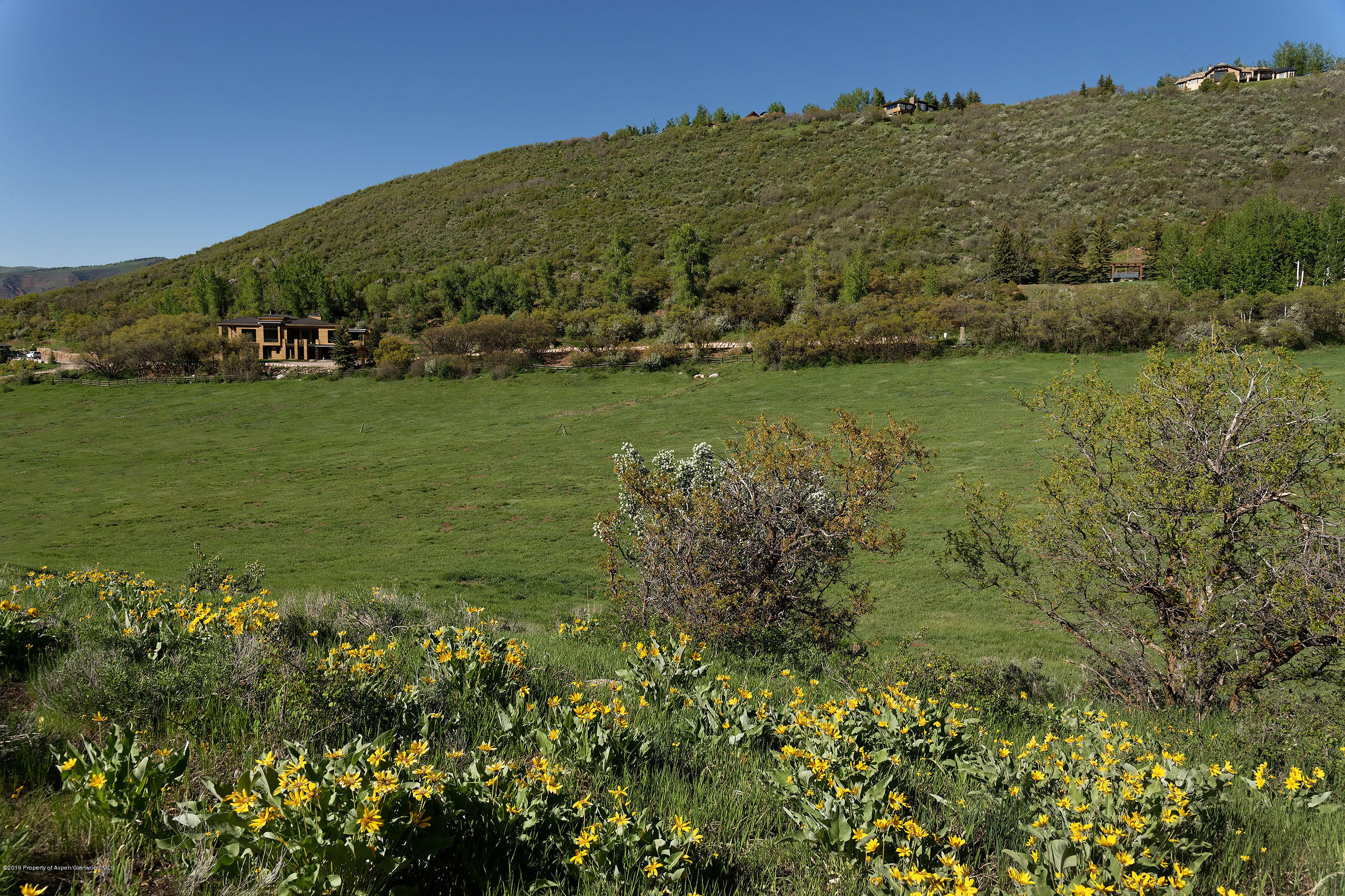1765 McLain Flats Road Aspen, CO 81612 - Photo 73 of 73 a view of a garden with a building in the background