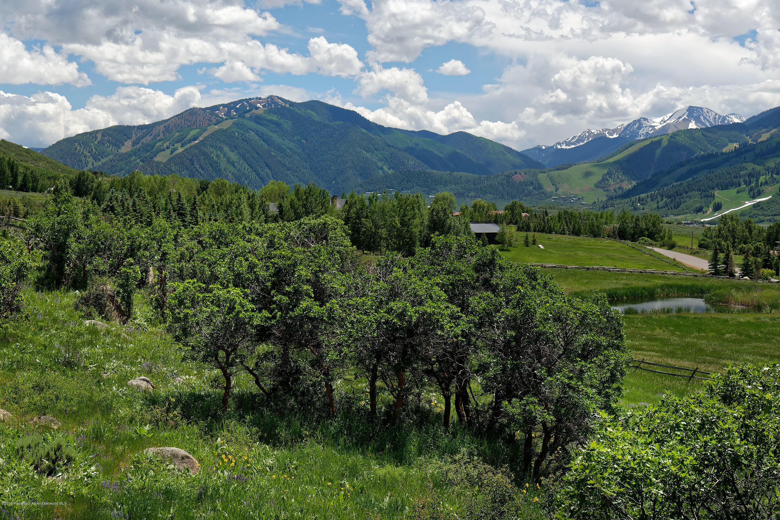 1765 McLain Flats Road Aspen, CO 81612 - Photo 10 of 73 a view of a lush green mountain
